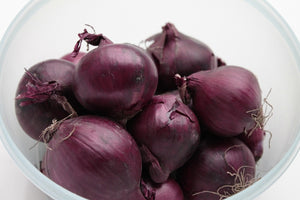 ONION 'Amposta Purple' seeds