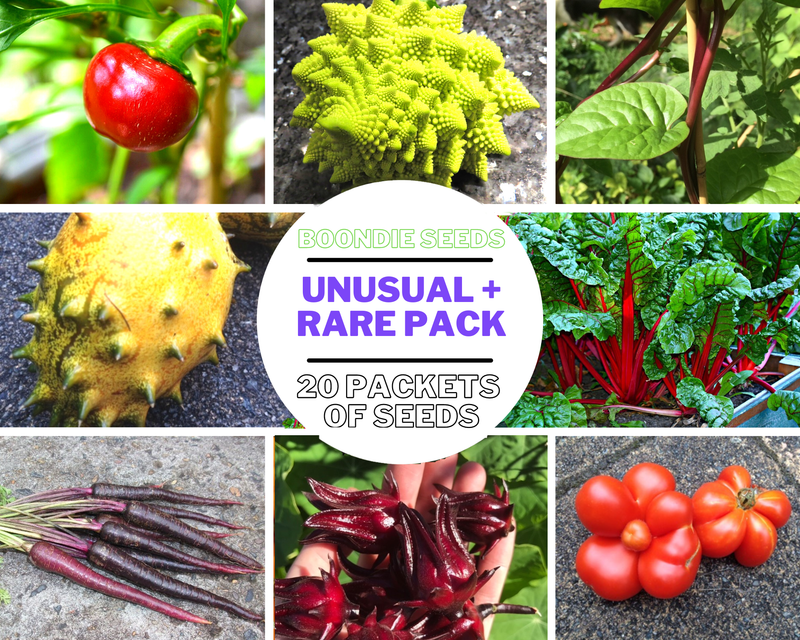 MIXED 20 packets RARE + UNUSUAL heirloom PACK seeds Boondie Seeds