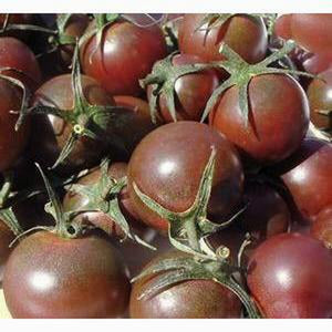 TOMATO 'Black Cherry' - Boondie Seeds