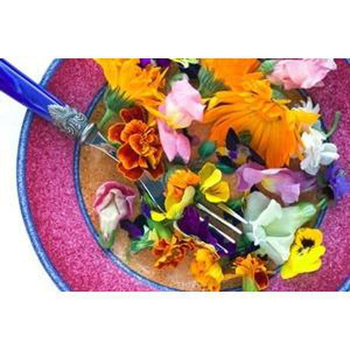 edible flower seeds australia EDIBLE FLOWER PACK 12 packets of seeds – Boondie Seeds
