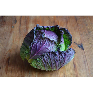 CABBAGE 'January King' ORGANIC - Boondie Seeds