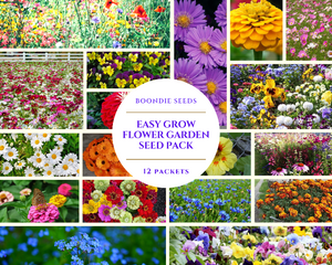 EASY GROW FLOWER GARDEN PACK / 12 packets of seeds