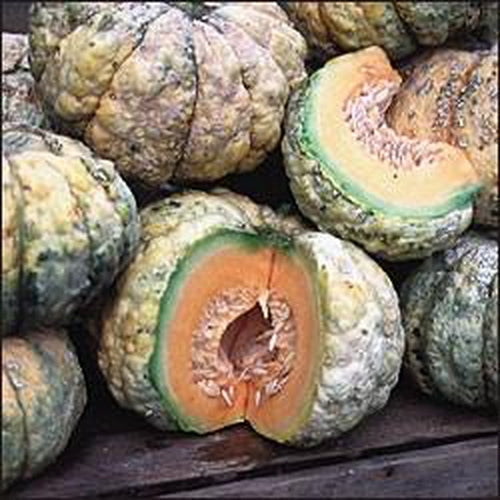 thumbnail image 2 of Melon, Prescott Fond Blanc | A.P. WHALEY, LLC 2 of 14