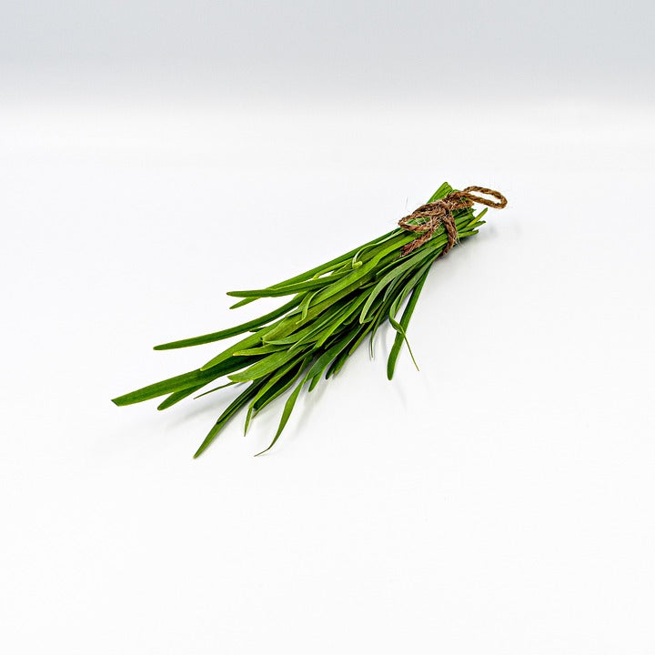 GARLIC CHIVES / JAPANESE NIRA seeds Boondie Seeds