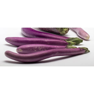 Eggplant 'Ping Tung' - Boondie Seeds