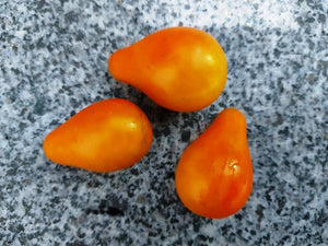 TOMATO CHERRY 'Orange Pear' seeds