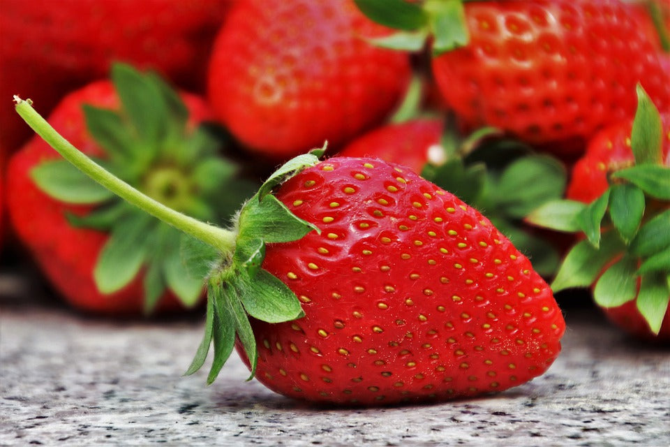 rainbow treasure strawberry seeds STRAWBERRY 'Rainbow Treasure' seeds – Boondie Seeds