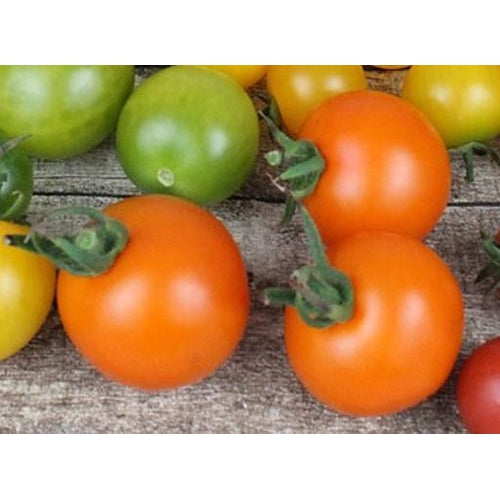 TOMATO 'JUANNE FLAMME' seeds