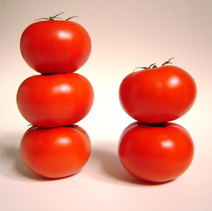 petite tomato petite tomato kiyooka TOMATO 'KY1' *DWARF VARIETY* seeds – Boondie Seeds