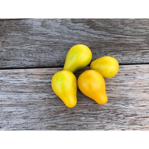 TOMATO CHERRY 'Yellow Pear' seeds