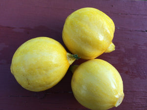 SQUASH 'Lemon' seeds