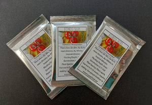TOMATO 'Moneymaker' Wholesale Gift Pack seeds
