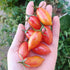 TOMATO CHERRY 'Tiger Roma' seeds