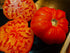 TOMATO 'Rouge De Marmande' seeds