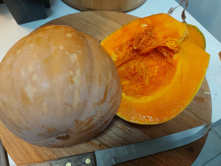 PUMPKIN 'Gramma Pie' Organic seeds
