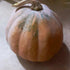 PUMPKIN 'Gramma Pie' Organic seeds