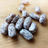 BEAN 'Willmar Pinto' seeds