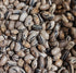 BEAN CLIMBING 'Zebra' seeds