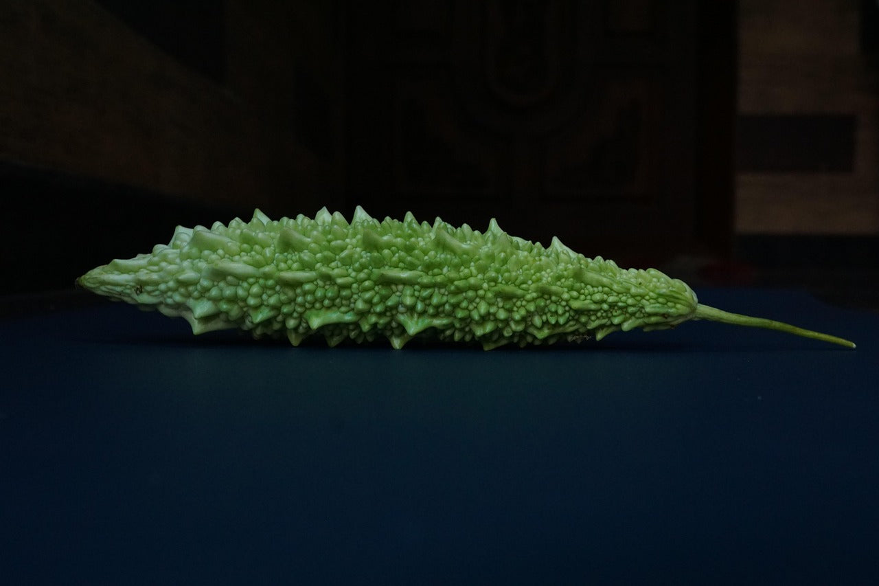 BITTER MELON / GOURD / BALSAM PEAR / KARELA - Indian Magara seeds