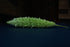BITTER MELON / GOURD / BALSAM PEAR / KARELA - Indian Magara seeds
