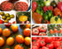 HERILOOM TOMATO COLOUR COLLECTION - 12 packets of seeds