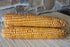 SWEET CORN 'Balinese' seeds
