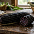 CORN / MAIZE 'Incan Black' seeds