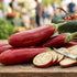 EGGPLANT 'Red Long' seeds