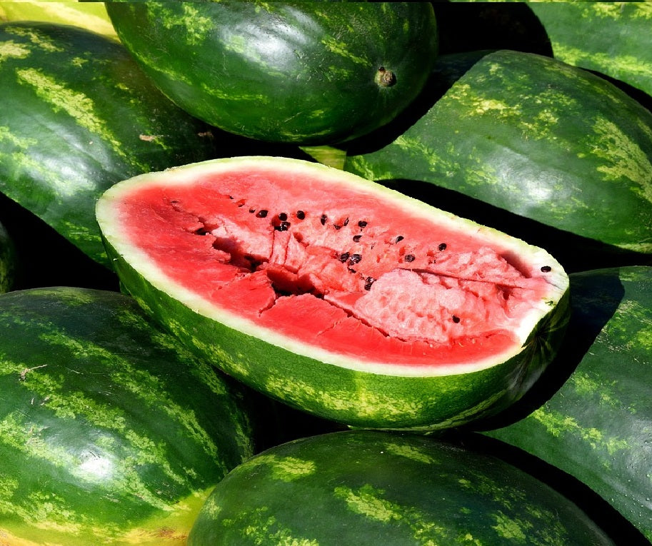 WATERMELON 'Klondyke' seeds