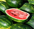 WATERMELON 'Klondyke' seeds