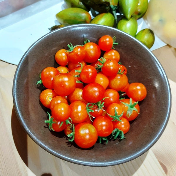 TOMATO CHERRY 'Sugar Lump' seeds – Boondie Seeds