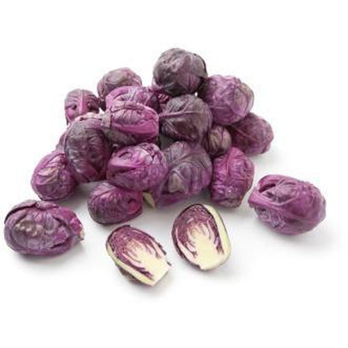 BRUSSELS SPROUTS 'Ruby' seeds
