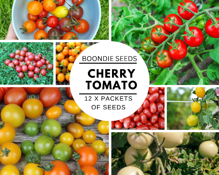 CHERRY TOMATO COLLECTION - 12 packets of seeds
