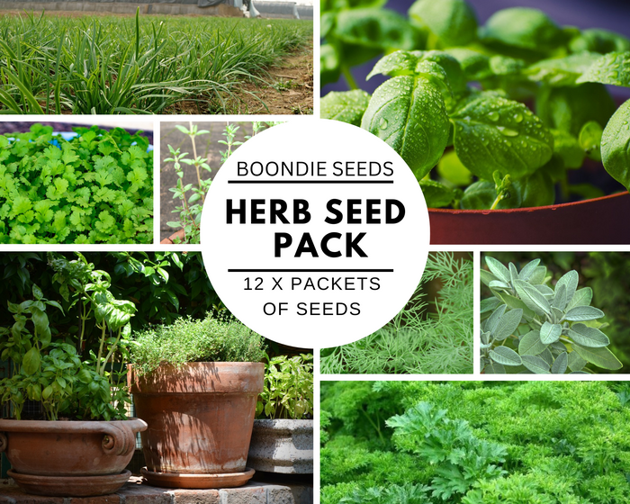 HERB PACK x 12 packets of seeds