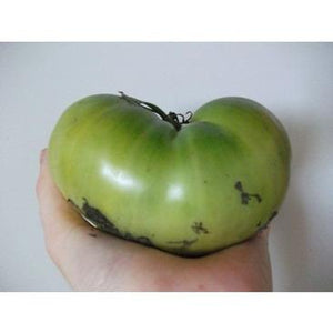 TOMATO 'Aunt Ruby's Green' - Boondie Seeds