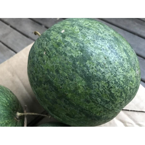 WATERMELON 'Scaly Bark' seeds