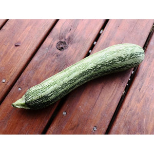 ZUCCHINI 'Cocozelle' ORGANIC - Boondie Seeds