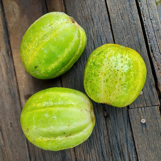 CUCUMBER 'Richmond Green Apple' seeds