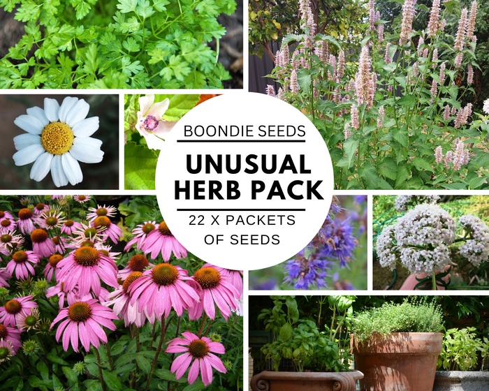 UNUSUAL HERB PACK 22 x PACKETS of herb MEDICINAL and CULINARY collection seeds