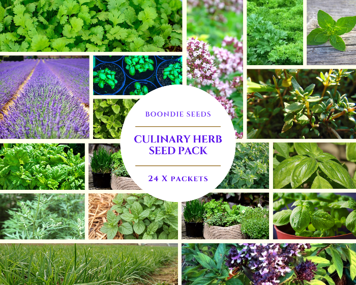 CULINARY HERB PACK 24 x Packets seeds - SPRING edible herb vegetable garden