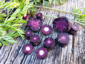 CARROT 'Black Nebula' seeds