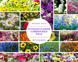 ULTIMATE FLOWER PACK - 30 x packets of seeds