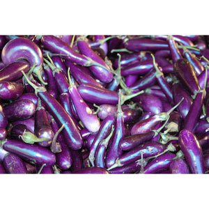 Eggplant 'Italian Long Purple' - Boondie Seeds