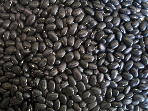 BEAN 'Black Turtle Bean' / Black Bean / BUSH TYPE seeds
