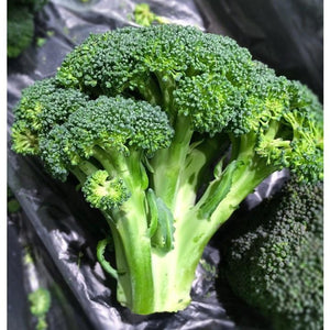 BROCCOLI 'Green Sprouting' - Boondie Seeds