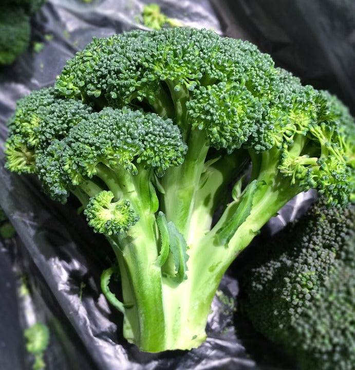 BROCCOLI 'Calabrese' seeds