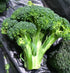 BROCCOLI 'Calabrese' seeds