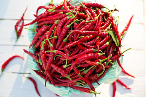 CHILLI 'Cayenne Red' seeds