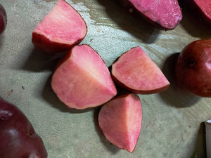 SEED POTATO - Cranberry Red