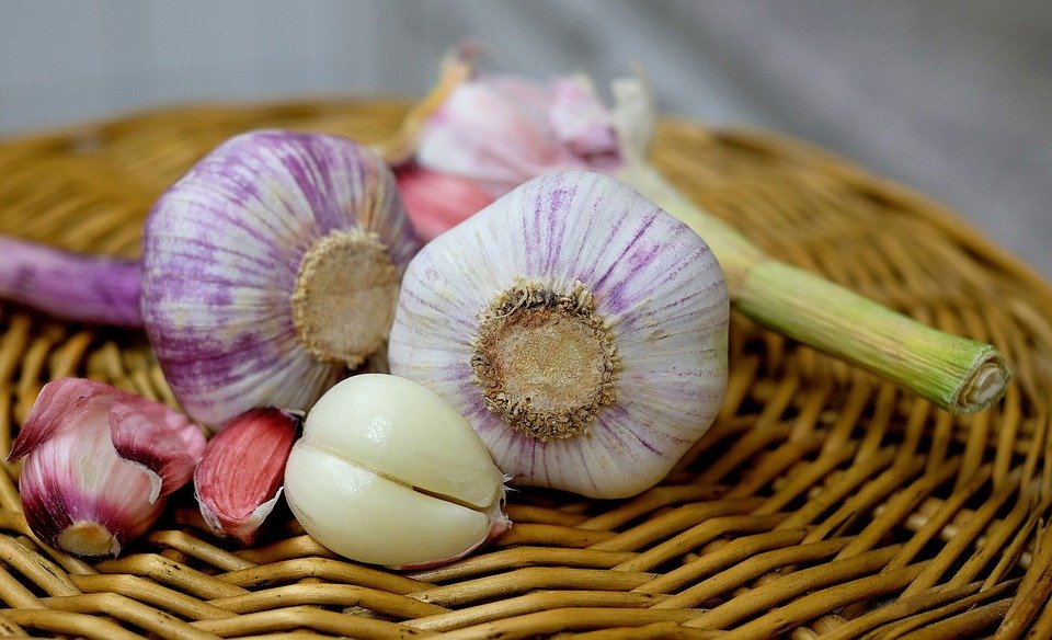 GARLIC BULBS Mixed